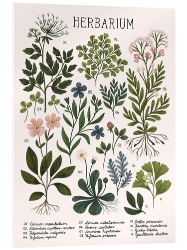 Acrylglasbild herbarium kaja - acrylglasbild,