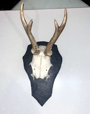 Kleines Geweih - Mit