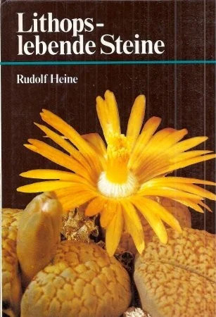 Lithops lebende steine - -,