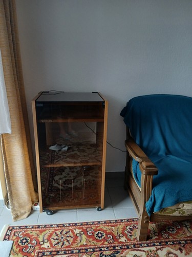 Grundig holz glasschrank - grundig, holz-/glasschrank
