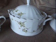 Eschenbach Bavaria Porzellan Teller SpeiseService Grüne Ranke Vintage 6x Pers.