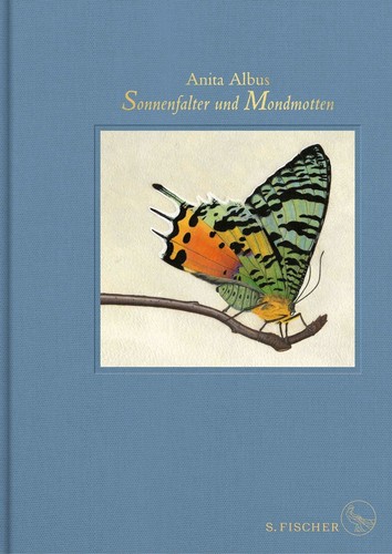 Sonnenfalter und mondmotten - und,
