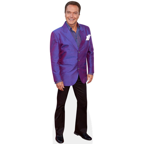 David cassidy - david, (purple