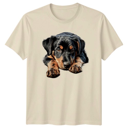 Rottweiler welpe hund - welpe, tiere