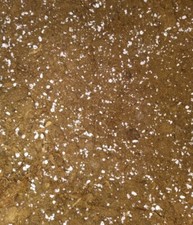 Substrat FleischfressendenPflanzen 10l