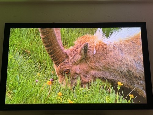 Hisense px2 pro - hisense, tv