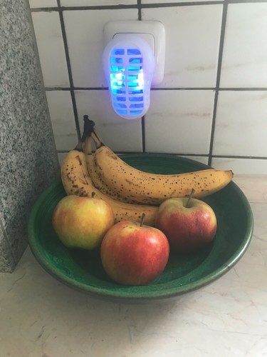Fruchtfliegenfalle