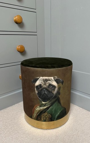 Skurriler hocker mops - mops, hund