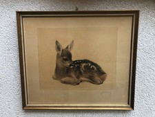 Orig. Radierung - Kurt Meyer-Eberhardt (1895-1977) - LIEGENDES REHKITZ