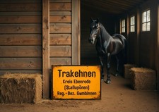 Ortsschild Trakehnen