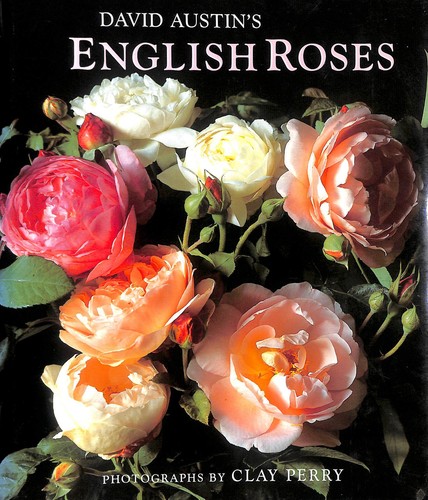 David austin english - english, roses