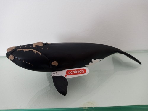 Schleich atlantik nordkapper - schleich,