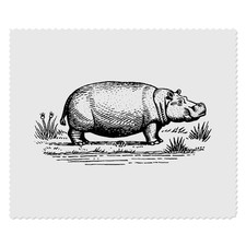 2 Linsenreinigungstücher