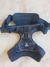 Bullsland Dogwear Gepolstertes