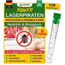 Lagerpiraten gegen