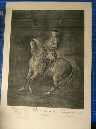 Riedinger die grosse - die,