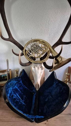 Waldhorn doppelhorn bb - waldhorn,