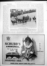 Alte W Wilson Taft Kutsche Einweihung Dewar Prinz Charlie Ad 1913 20th