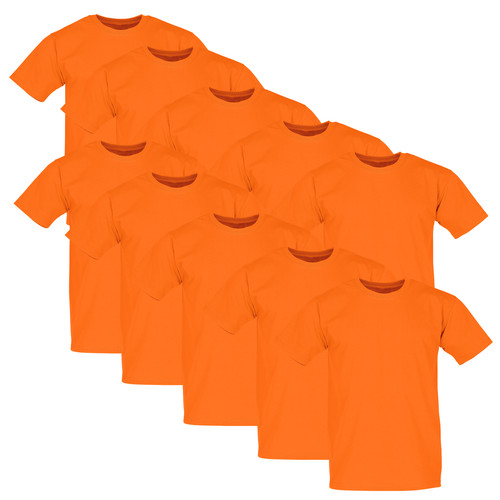 Fruit the loom shirt - fruit,