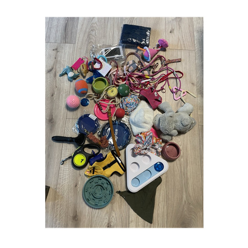 Großes hundezubehör lot - großes,
