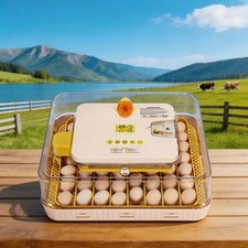 Eier inkubator - 12~56,