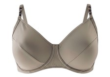 Triumph Bikini Oberteil mit
