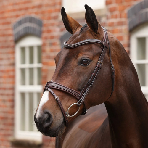 Shires velociti lusso opus - shires,
