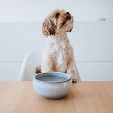 Hunter Keramiknapf Braga blau Hundenapf Futternapf Keramik