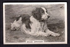 40694/ Senior Service Cigarettes – Dogs – No. 3 – Welsh Springer