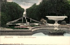 Ak Neustrelitz in Mecklenburg,  Kastanien-Allee, Schlossgarten,... - 4840886