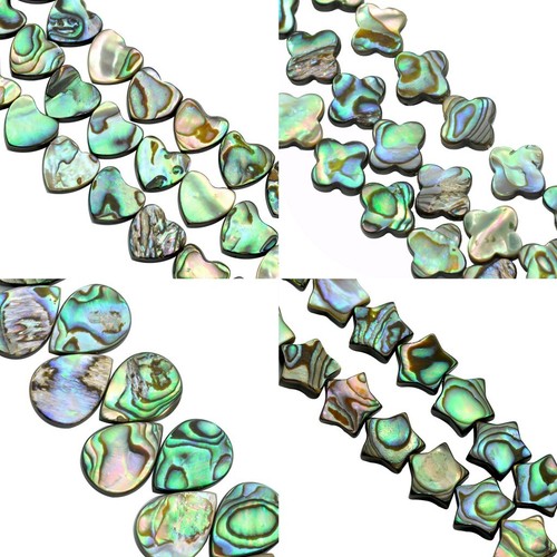 Grüne abalone muschel - 6x,