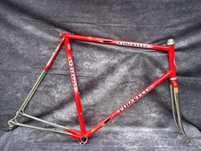 Pinarello Montello Rennrad