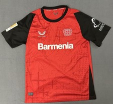 Bayer 04 Leverkusen 2024-2025