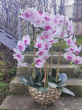 Große Orchidee
