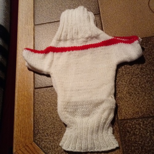 Hunde pulli - hunde,