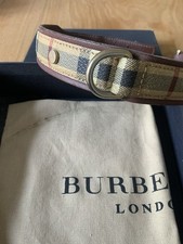 Hundehalsband Original