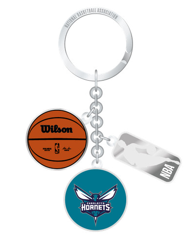 Charlotte hornets nba - charlotte,