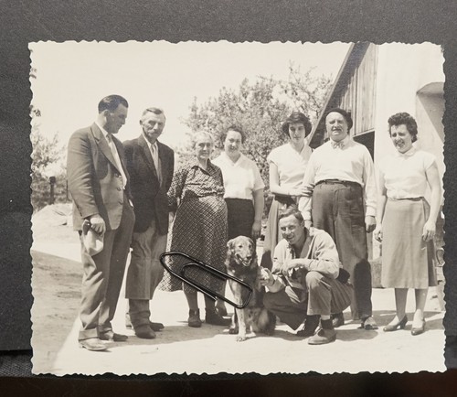 Foto portrait familie - portrait, haustier