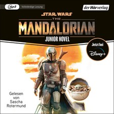 Star Wars The Mandalorian