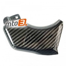 Carbon Kühlerschutz für