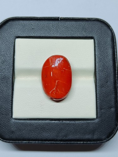 Rote koralle oval cabochon - koralle,