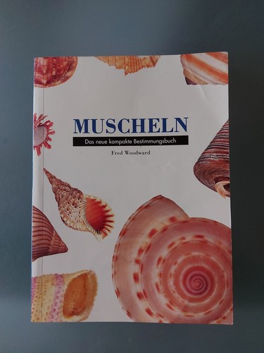 Buch muscheln das - buch, neue