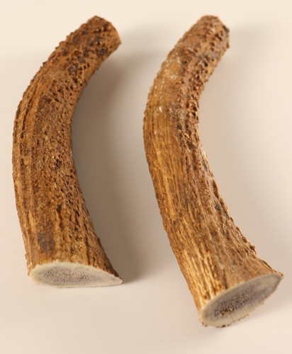 Geweih horn hornstück - geweih,