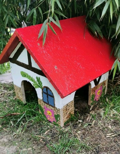 Meerschweinchen hase - meerschweinchen,