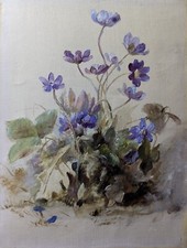 Leberblümchen, Öl auf