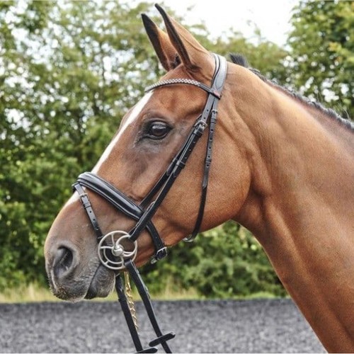 John whitaker barton - whitaker, bling
