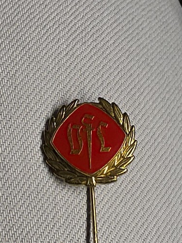 Anstecknadel fußball - anstecknadel,