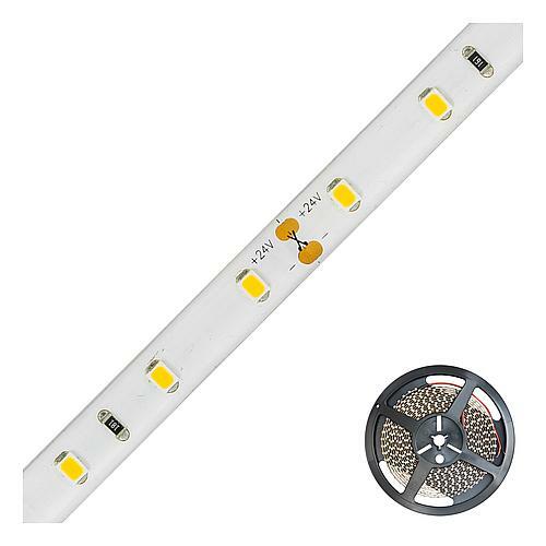 Evn lichttechnik led - evn, 24v