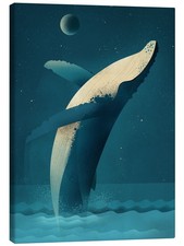 Leinwandbild Buckelwal -