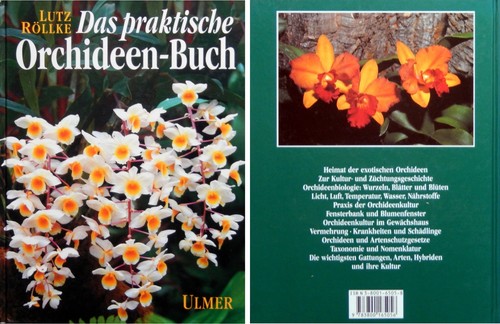Lutz röllke das praktische - röllke,